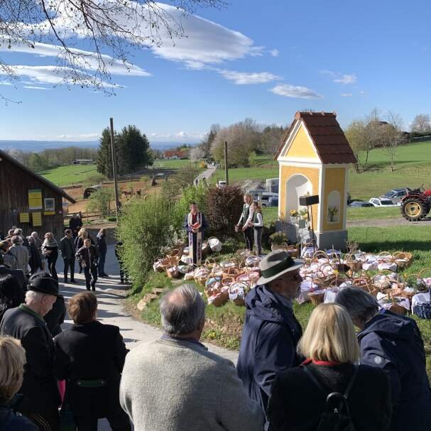Fleischweihe Geierkogel, 16.04.2022
