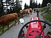 Fahrt auf den Sch&ouml;ckl, 23.08.2014
