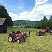 Oldtimer Treffen, Thal, 31.05.2015